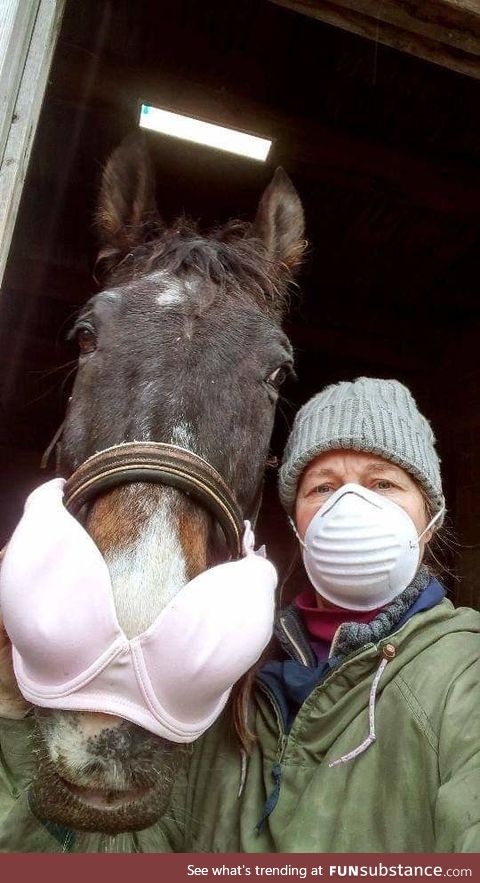 Won’t somebody please think of the hors