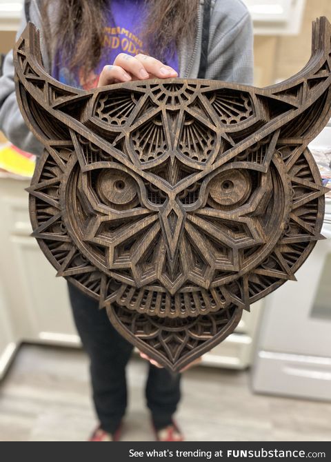 This 11 piece layered owl I made from birchwood is HUGE