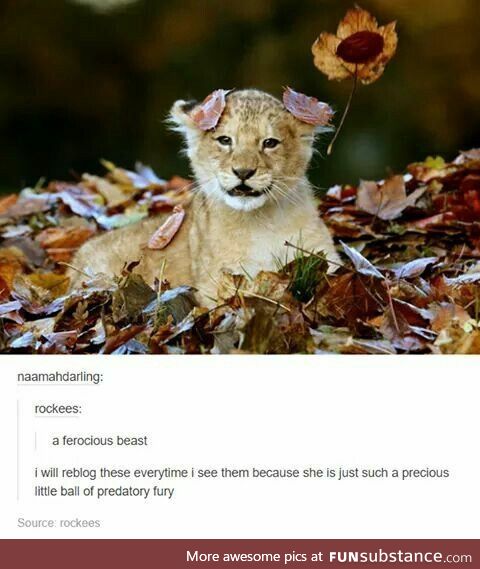 Ferocious Beast