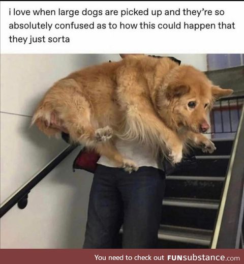 Is this a flying?! *concern*
