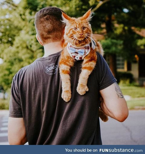 Dad carrying me home after a mean old beetle pinched my nose at the park
