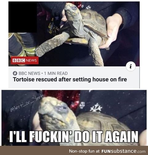 Outdone ill outrageous Cat