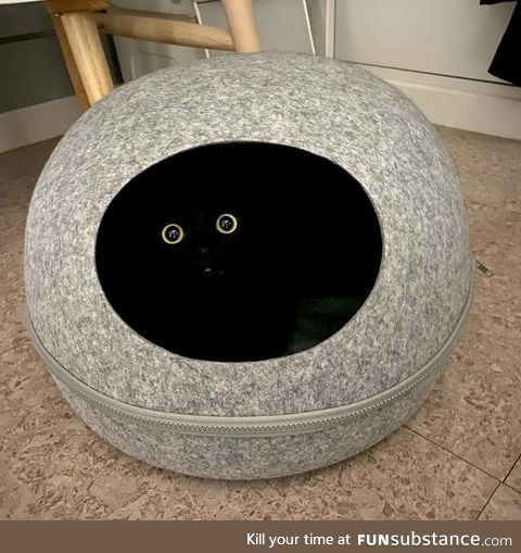 Vantablack has become self aware!