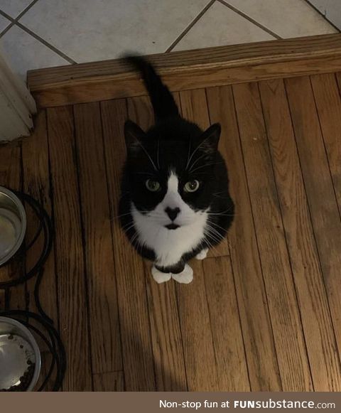 One of my old friends had a heart on his nose