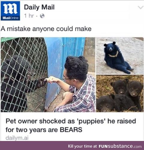 Bears are just bigger dogs