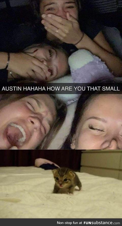 Is bean