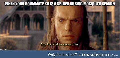 Is Elrond's other job a philosopher... Or a genius