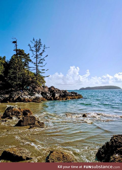 Tofino - vancouver island, canada