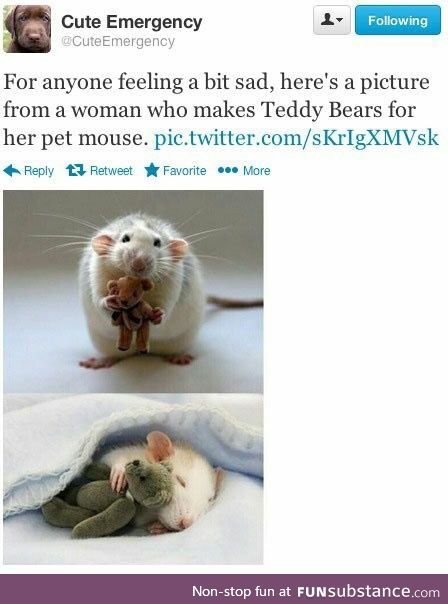 Mouse TeddyBears