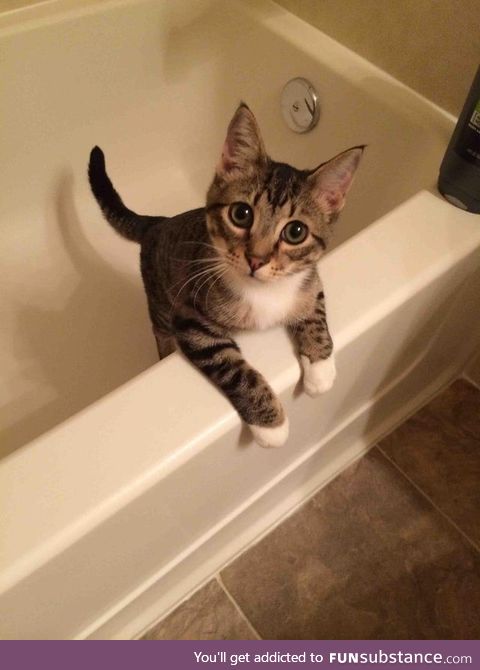 He always jumps into the tub after a shower. , meet Lou