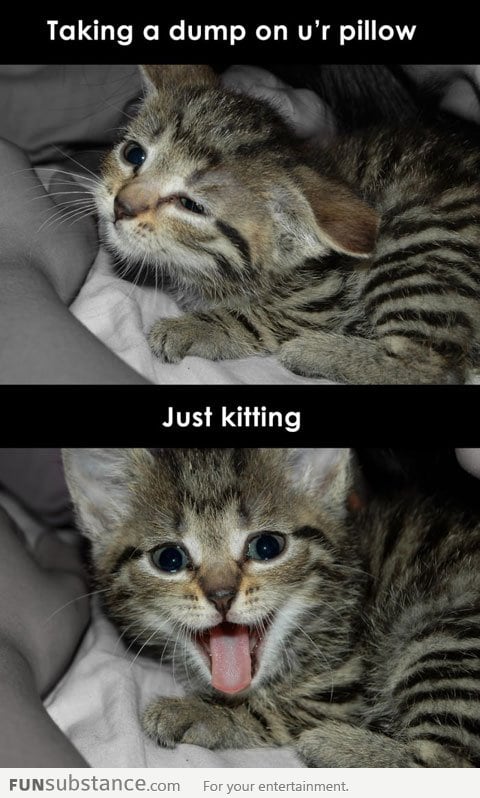 Just kitting
