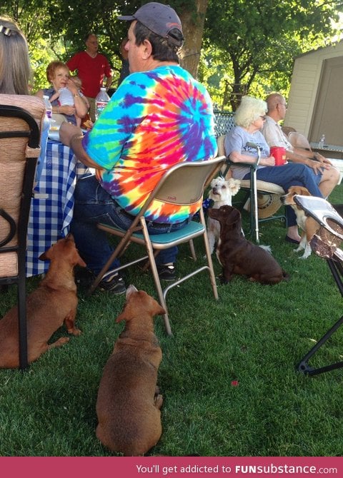 How you can tell who has been feeding the dogs under the table