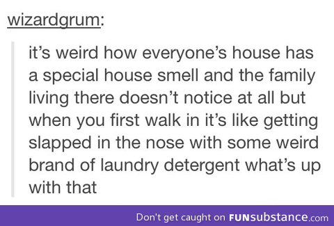 Special house smell