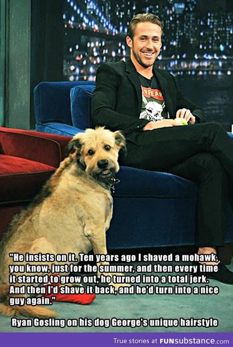 Ryan gosling on his dog's unique hairstyle