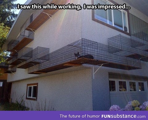 It's a catwalk