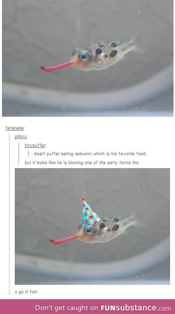 Party puffer