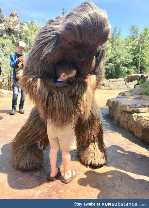 My son meeting Chewbacca for his 3rd Birthday