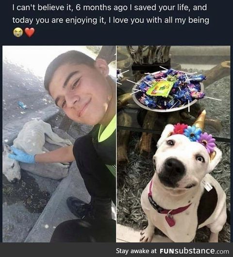 He’s the goodest boi