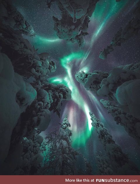 Beautiful northern lights, lapland!