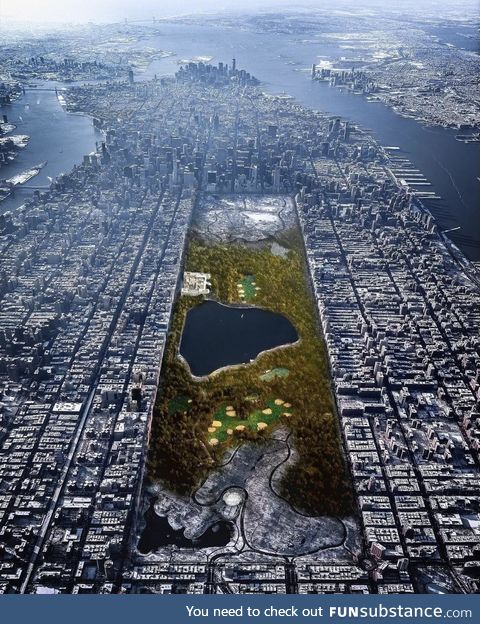 New York winter