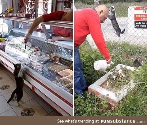 This Turkish butcher used to feed a stray cat. The cat has past away and he has gotten a