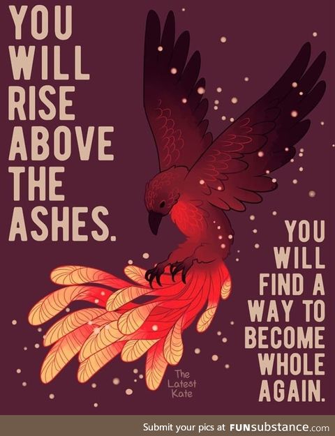 Rise Above The Ashes (TheLatestKate)