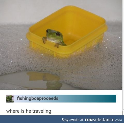 Frog in a Bucket in a Bath in a Tub