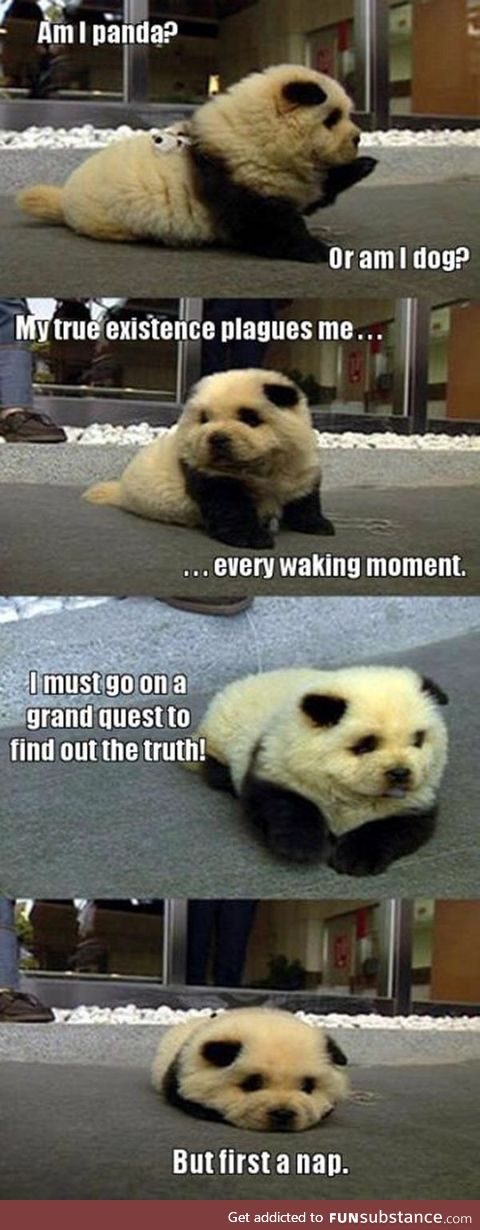 Pandog going on a quest. But first: Nap.