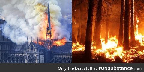 Notre Dame Cathedral received billions in donations after it went ablaze in April. The