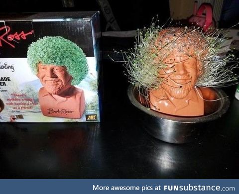 This epic Bob Ross chia pet