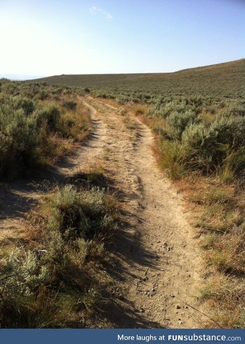 Wagon ruts from The Oregon Trail, circish Baker City, Oregon