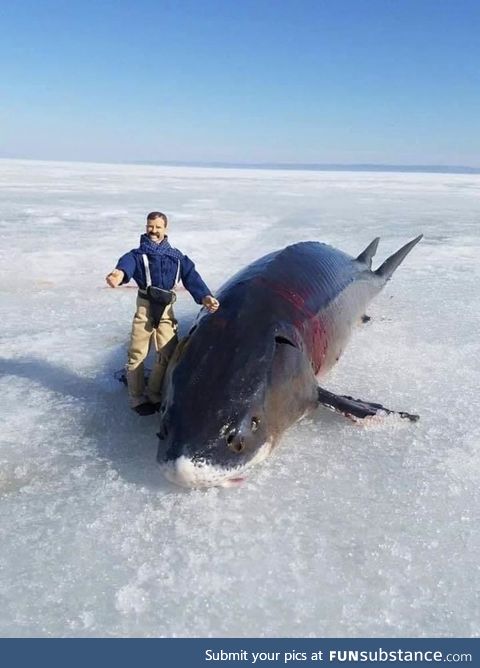 When fishing, always bring an action figure