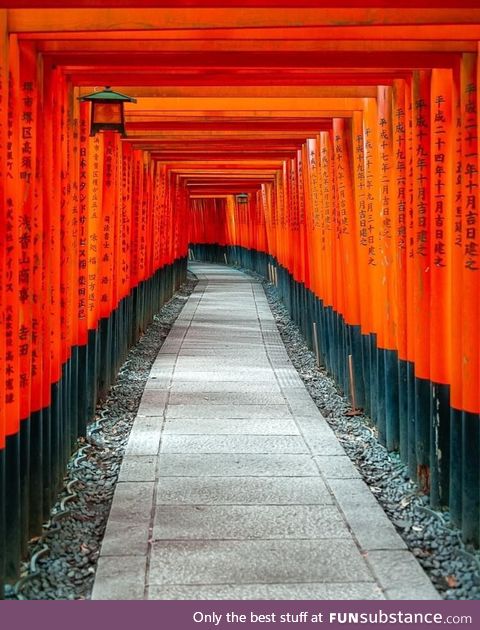 Tori gates at the Fushimi Inari shrine, ????????