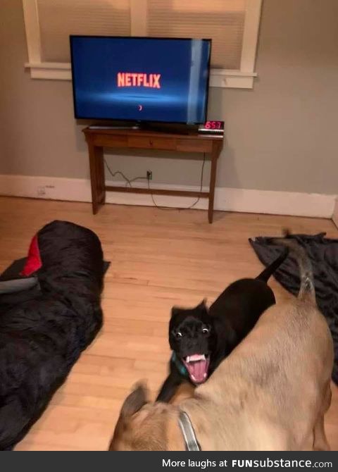 "Netflix and Chill"