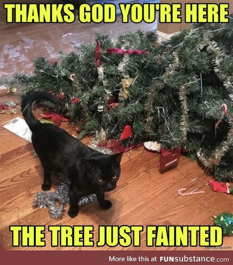 The Christmas Tree fainted