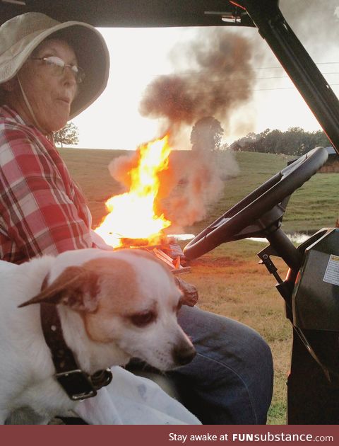 If my grandma ever drops a rap album I hope she uses this as the cover