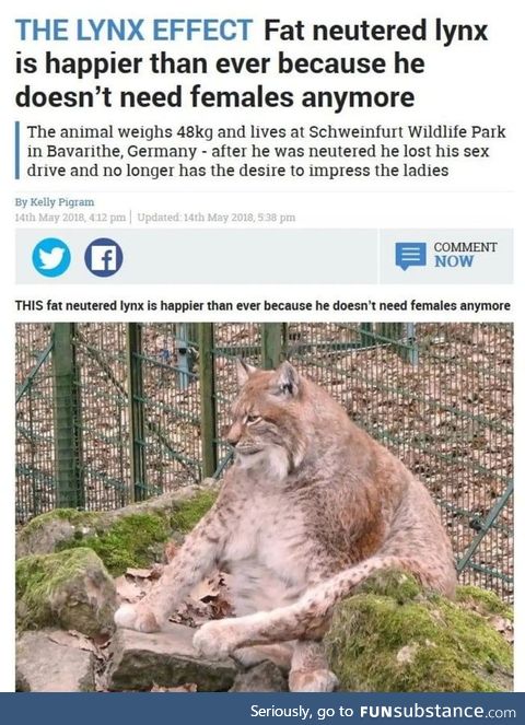 Living the dream