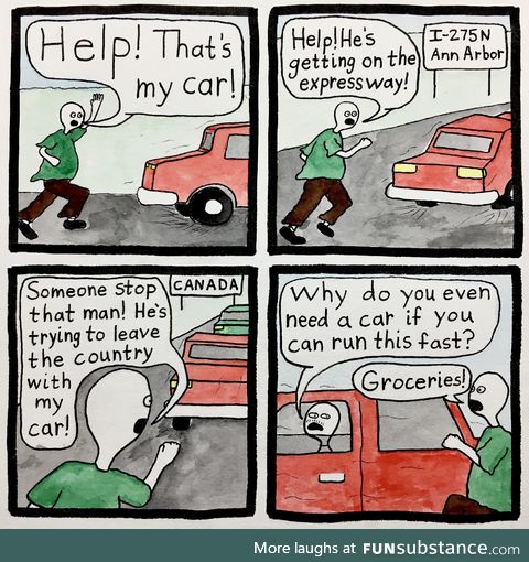 Car thief