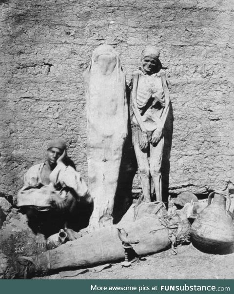 A street vendor selling mummies in Egypt, c.1865