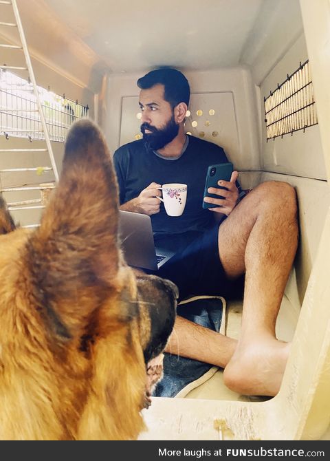 Day 4 of Self-isolation. Pasha is not happy about sharing his space