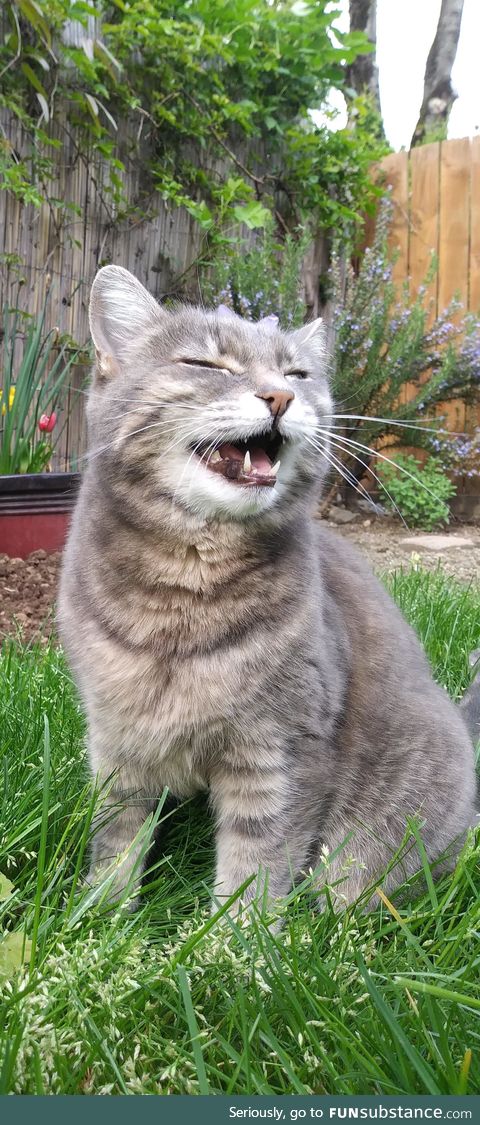 My first post, so here is a picture of this cute bundle of joy that I took today