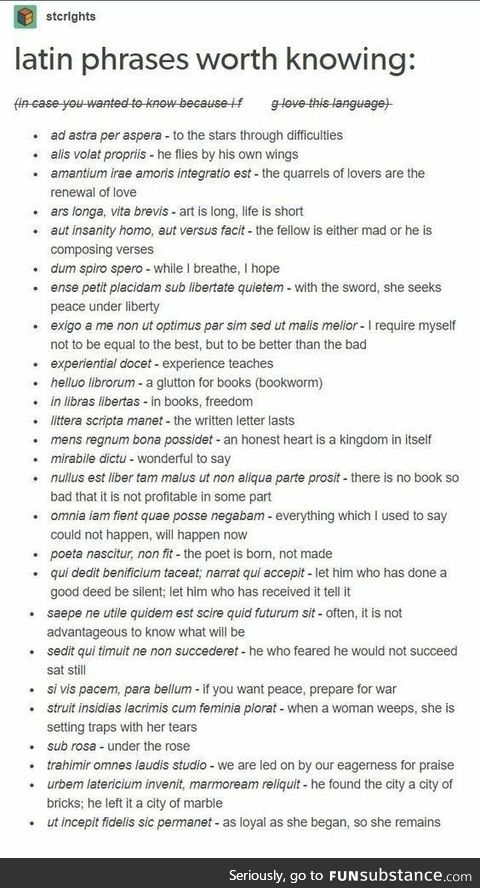 Latin Phrases