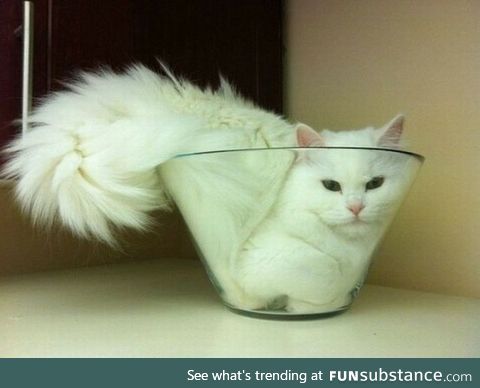 If I fits I ists