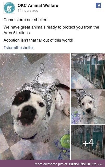 "the protection"