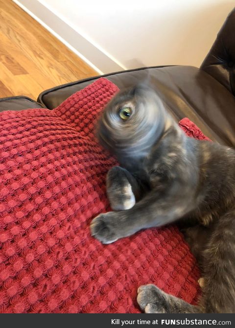 Cyclat