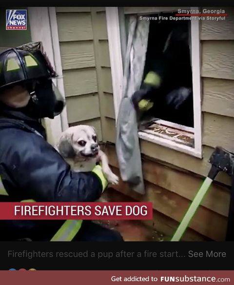 That’s one guilty-ass looking dog