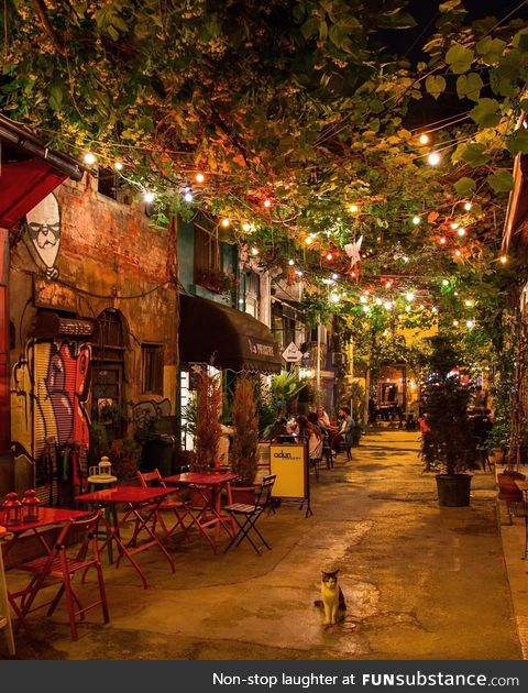 This cozy back alley