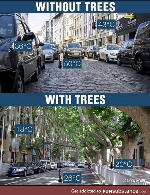 Trees do good work!