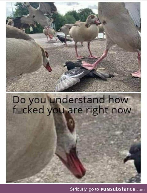 Yeah I think he understood