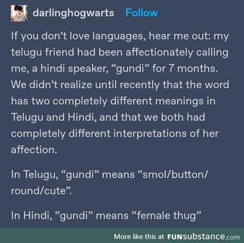 Gundi is relative